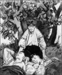 image33