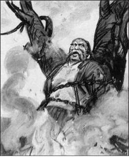 image41